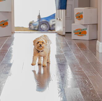 college hunks hauling junk how to remove carpeting 