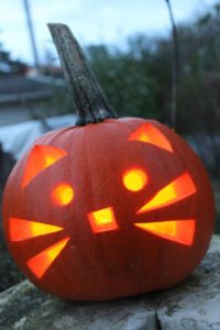 A cute kitty pumpkin